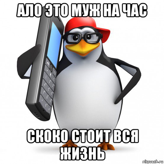 ало это муж на час скоко стоит вся жизнь, Мем   Пингвин звонит