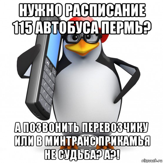 нужно расписание 115 автобуса пермь? а позвонить перевозчику или в минтранс прикамья не судьба? а?!, Мем   Пингвин звонит