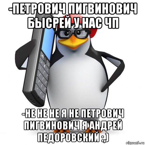 -петрович пигвинович бысрей у нас чп -не не не я не петрович пигвинович я андрей педоровский :,), Мем   Пингвин звонит