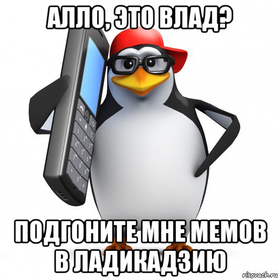 алло, это влад? подгоните мне мемов в ладикадзию, Мем   Пингвин звонит