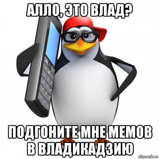 алло, это влад? подгоните мне мемов в владикадзию, Мем   Пингвин звонит