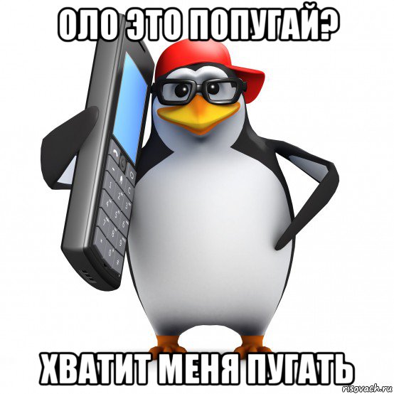 оло это попугай? хватит меня пугать, Мем   Пингвин звонит