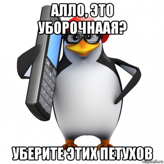 алло, это уборочнаая? уберите этих петухов, Мем   Пингвин звонит