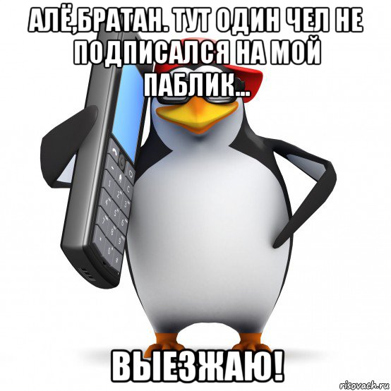 алё,братан. тут один чел не подписался на мой паблик... выезжаю!, Мем   Пингвин звонит