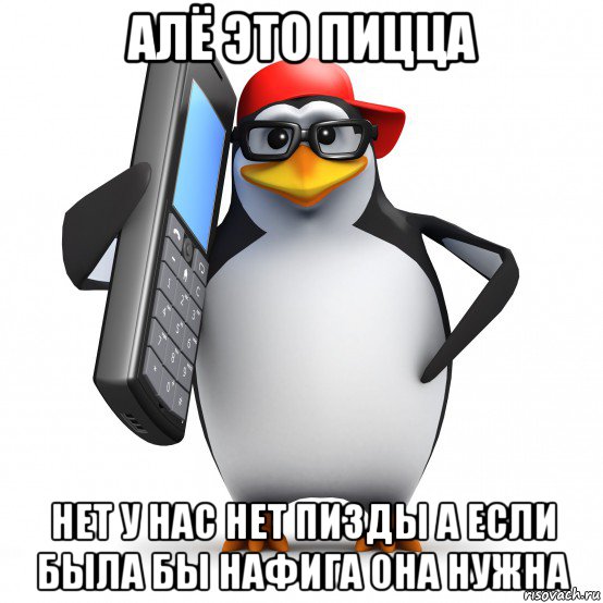 алё это пицца нет у нас нет пизды а если была бы нафига она нужна, Мем   Пингвин звонит