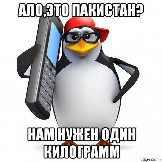 ало,это пакистан? нам нужен один килограмм, Мем   Пингвин звонит