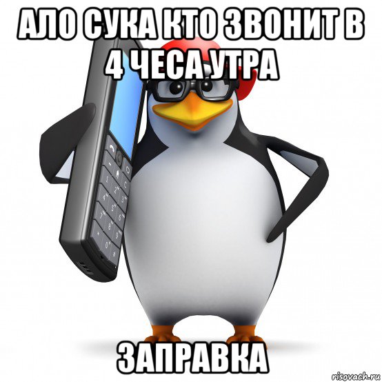 ало сука кто звонит в 4 чеса утра заправка, Мем   Пингвин звонит