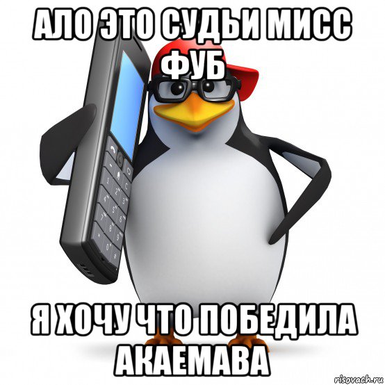 ало это судьи мисс фуб я хочу что победила акаемава, Мем   Пингвин звонит