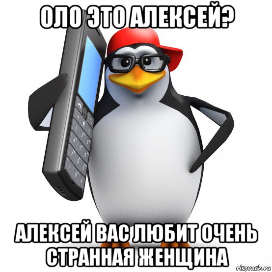 оло это алексей? алексей вас любит очень странная женщина, Мем   Пингвин звонит