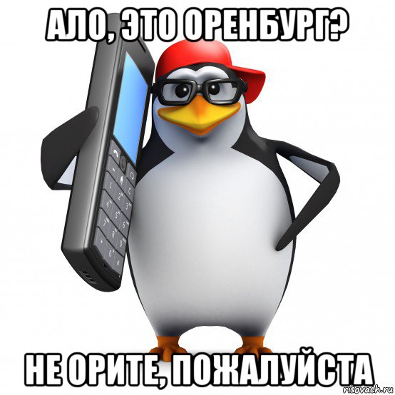 ало, это оренбург? не орите, пожалуйста, Мем   Пингвин звонит