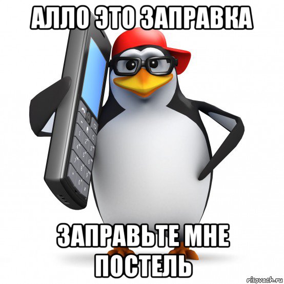 алло это заправка заправьте мне постель, Мем   Пингвин звонит