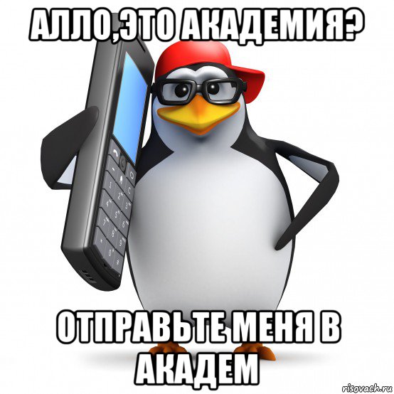 алло,это академия? отправьте меня в академ, Мем   Пингвин звонит