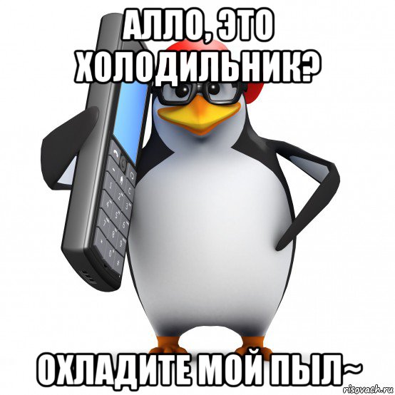 алло, это холодильник? охладите мой пыл~, Мем   Пингвин звонит