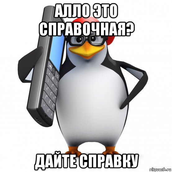 алло это справочная? дайте справку, Мем   Пингвин звонит