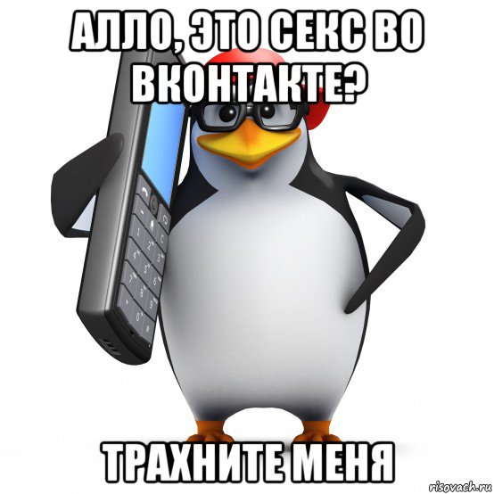 алло, это секс во вконтакте? трахните меня, Мем   Пингвин звонит