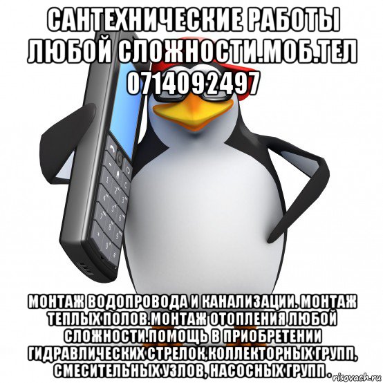 сантехнические работы любой сложности.моб.тел 0714092497 монтаж водопровода и канализации. монтаж теплых полов.монтаж отопления любой сложности.помощь в приобретении гидравлических стрелок,коллекторных групп, смесительных узлов, насосных групп ., Мем   Пингвин звонит