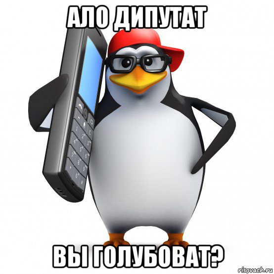 ало дипутат вы голубоват?, Мем   Пингвин звонит