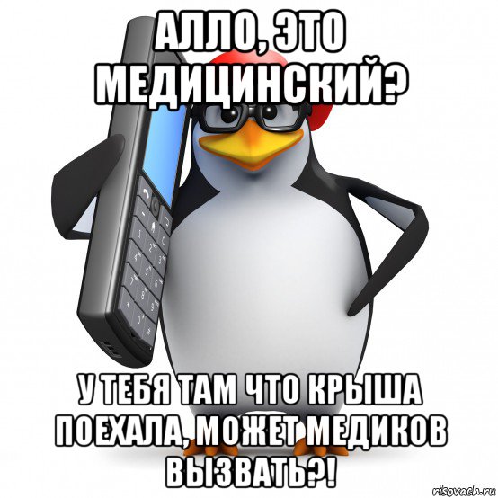 алло, это медицинский? у тебя там что крыша поехала, может медиков вызвать?!, Мем   Пингвин звонит