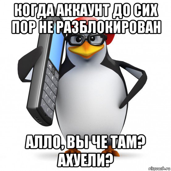 когда аккаунт до сих пор не разблокирован алло, вы че там? ахуели?, Мем   Пингвин звонит