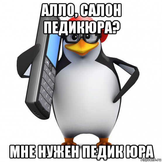 алло, салон педикюра? мне нужен педик юра, Мем   Пингвин звонит