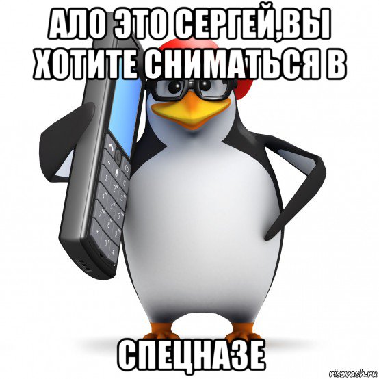 ало это сергей,вы хотите сниматься в спецназе, Мем   Пингвин звонит