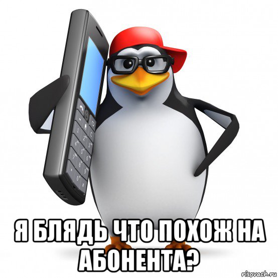  я блядь что похож на абонента?, Мем   Пингвин звонит