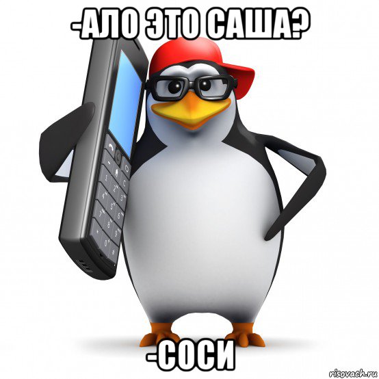 -ало это саша? -соси, Мем   Пингвин звонит