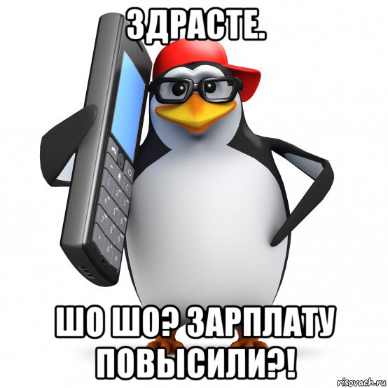 здрасте. шо шо? зарплату повысили?!, Мем   Пингвин звонит