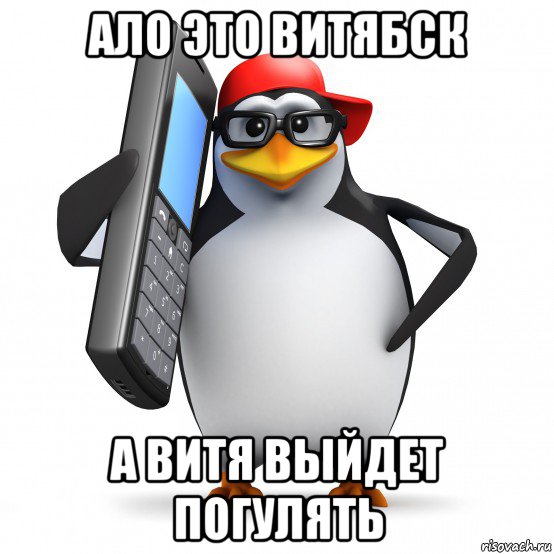 ало это витябск а витя выйдет погулять, Мем   Пингвин звонит