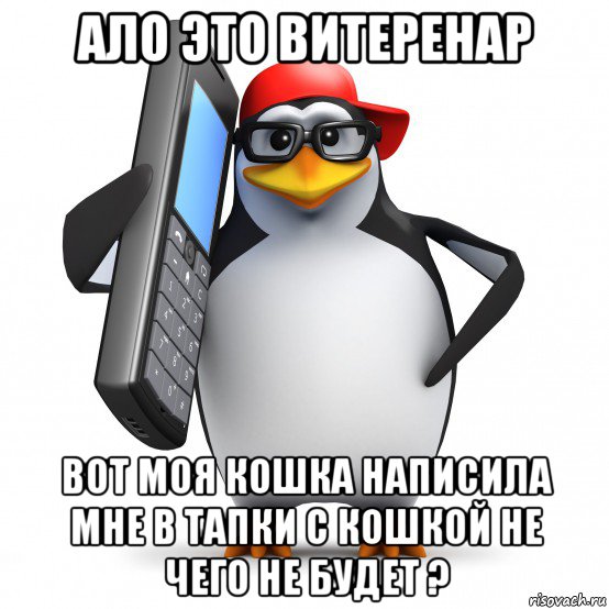 ало это витеренар вот моя кошка написила мне в тапки с кошкой не чего не будет ?, Мем   Пингвин звонит