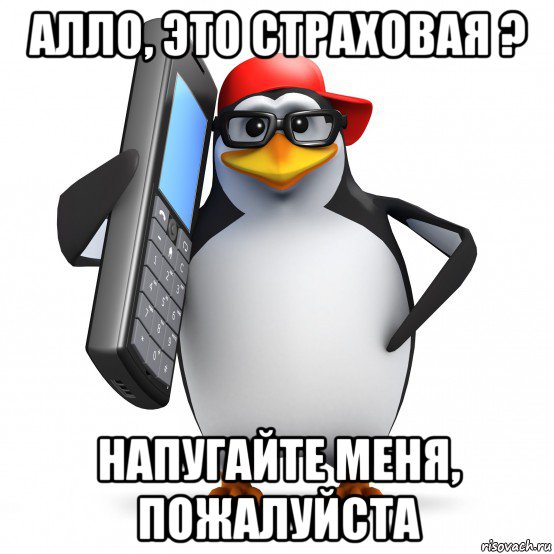 алло, это страховая ? напугайте меня, пожалуйста, Мем   Пингвин звонит