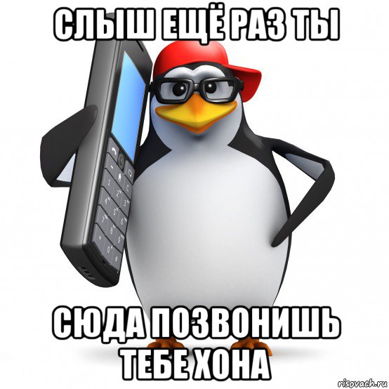 слыш ещё раз ты сюда позвонишь тебе хона, Мем   Пингвин звонит