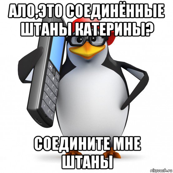 ало,это соединённые штаны катерины? соедините мне штаны, Мем   Пингвин звонит