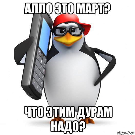 алло это март? что этим дурам надо?, Мем   Пингвин звонит