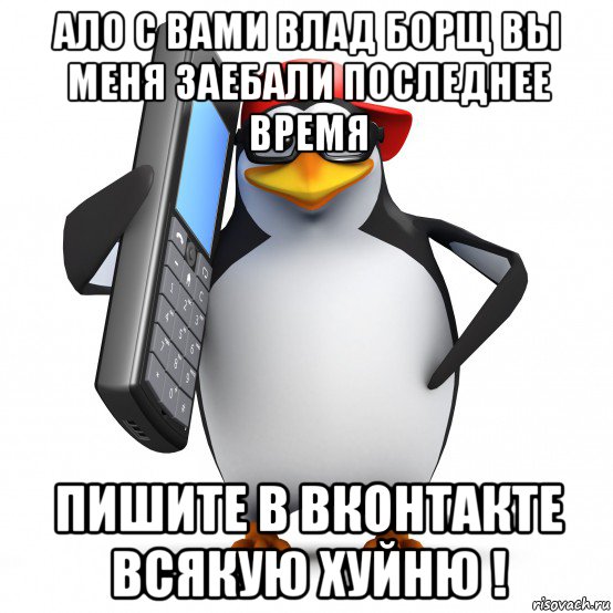 ало с вами влад борщ вы меня заебали последнее время пишите в вконтакте всякую хуйню !, Мем   Пингвин звонит