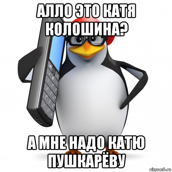 алло это катя колошина? а мне надо катю пушкарёву, Мем   Пингвин звонит