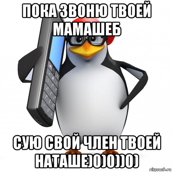 пока звоню твоей мамашеб сую свой член твоей наташе)0)0))0), Мем   Пингвин звонит