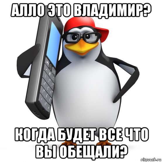 алло это владимир? когда будет все что вы обещали?, Мем   Пингвин звонит