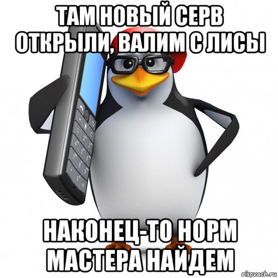 там новый серв открыли, валим с лисы наконец-то норм мастера найдем, Мем   Пингвин звонит