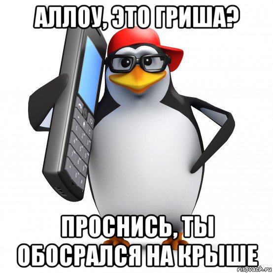 аллоу, это гриша? проснись, ты обосрался на крыше, Мем   Пингвин звонит