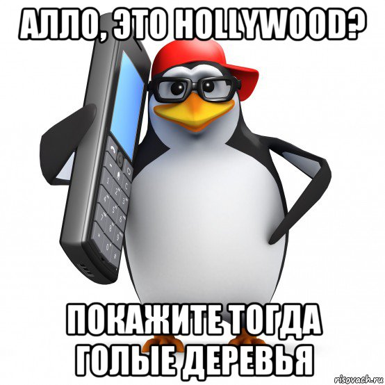 алло, это hollywood? покажите тогда голые деревья, Мем   Пингвин звонит