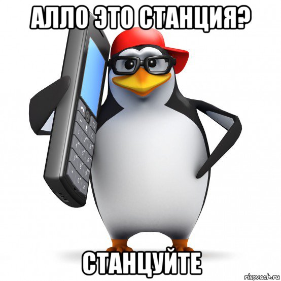 алло это станция? станцуйте, Мем   Пингвин звонит