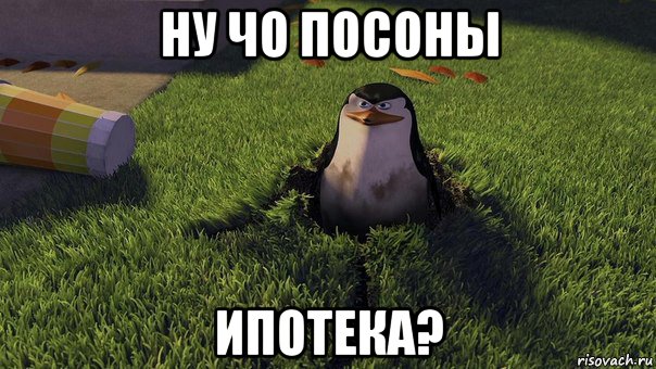 ну чо посоны ипотека?, Мем  ПИНГВИН