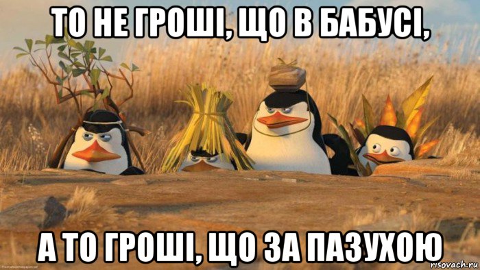 то не гроші, що в бабусі, а то гроші, що за пазухою, Мем   Пингвины маскируются