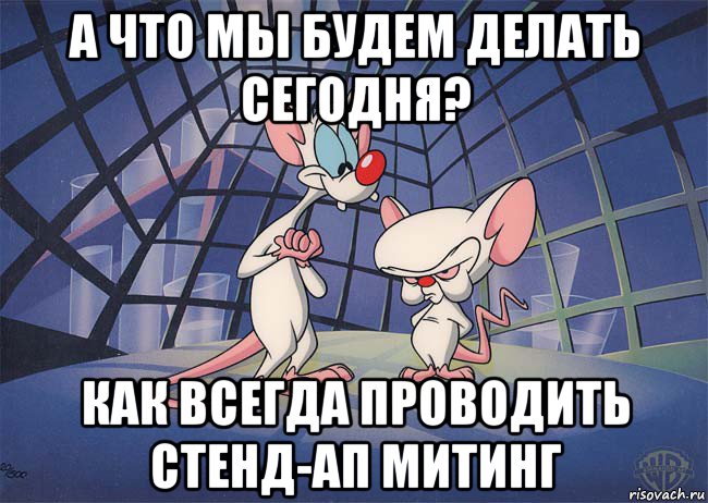 а что мы будем делать сегодня? как всегда проводить стенд-ап митинг