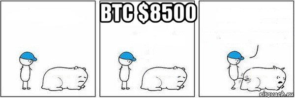 btc $8500 , Мем Пинок