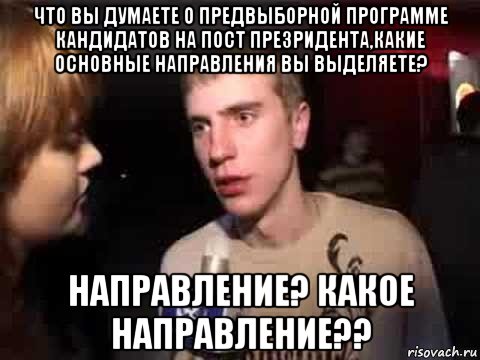 что вы думаете о предвыборной программе кандидатов на пост презридента,какие основные направления вы выделяете? направление? какое направление??