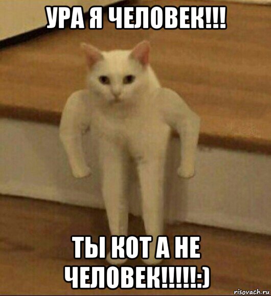 ура я человек!!! ты кот а не человек!!!!!:), Мем  Полукот