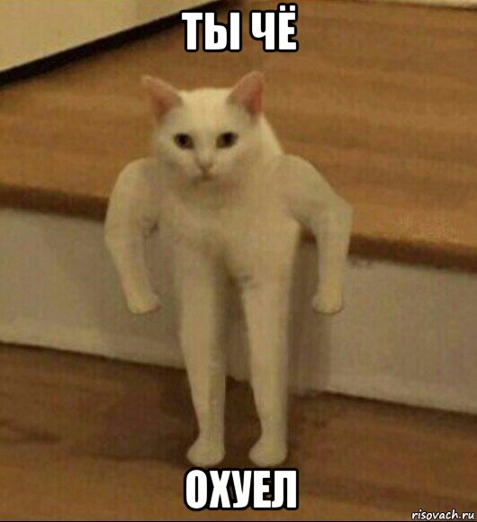 ты чё охуел, Мем  Полукот