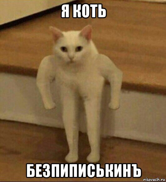 я коть безпиписькинъ, Мем  Полукот